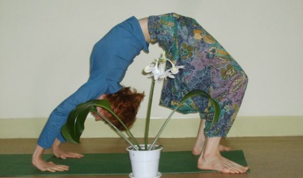 Фотография Центр йоги 